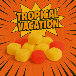 Tropical Vacation